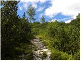 Koča pri Savici - Planina za Migovcem